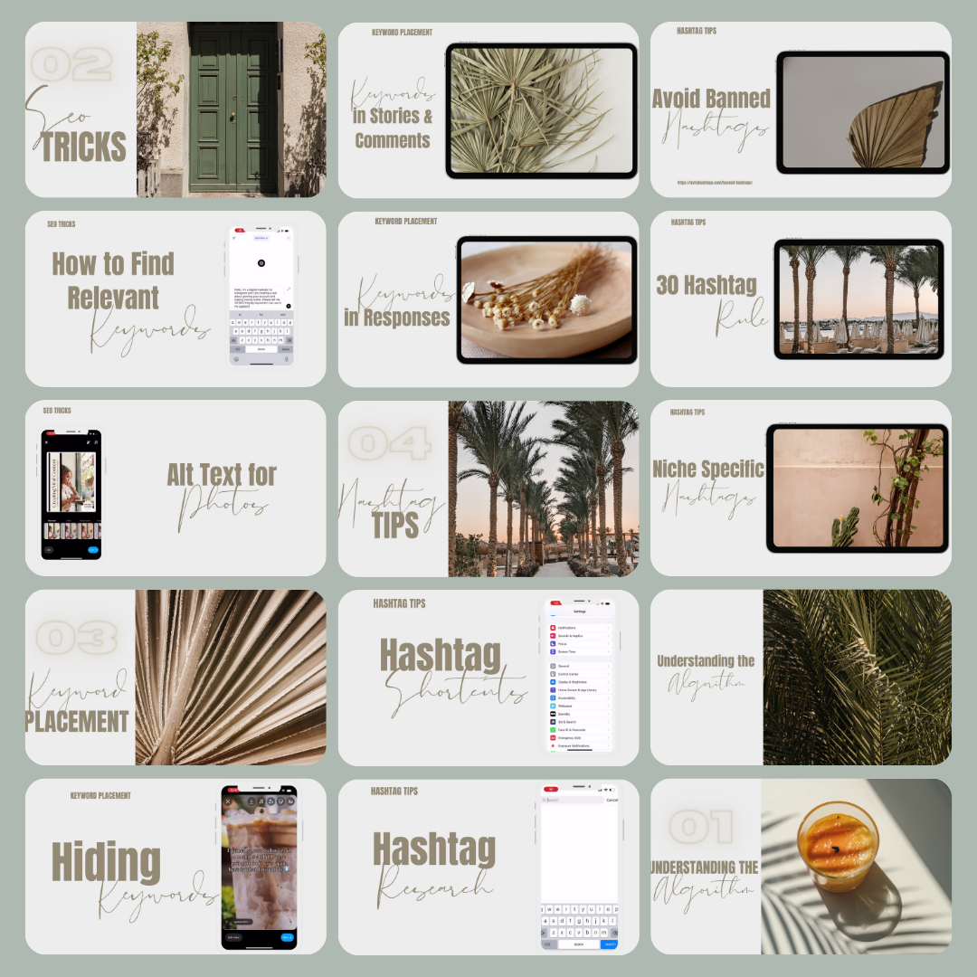 The Instagram Growth Blueprint - 3H Video Course WITH PLR (English)