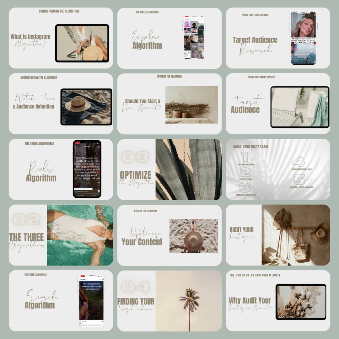 The Instagram Growth Blueprint - 3H Video Course WITH PLR (English)