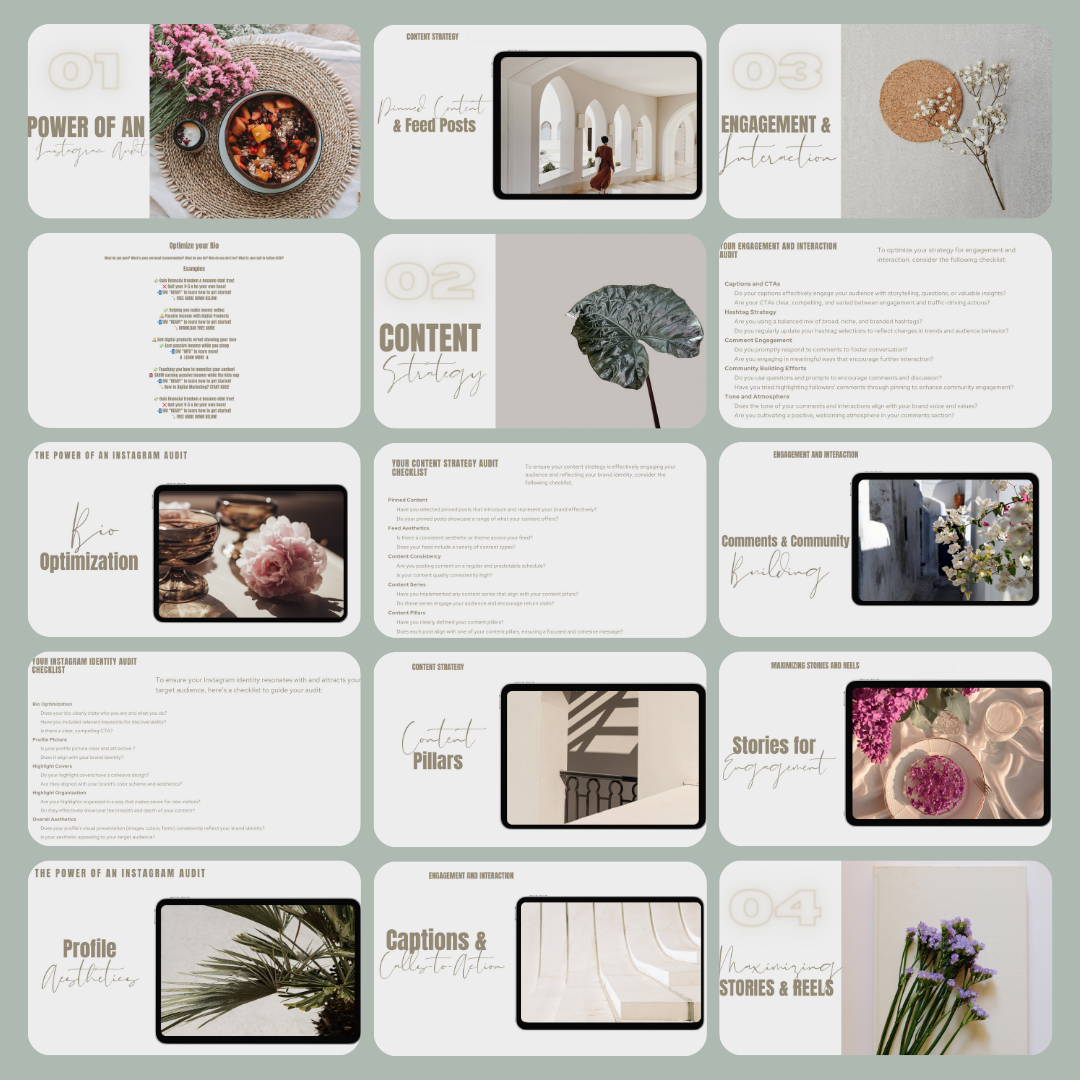 The Instagram Growth Blueprint - 3H Video Course WITH PLR (English)