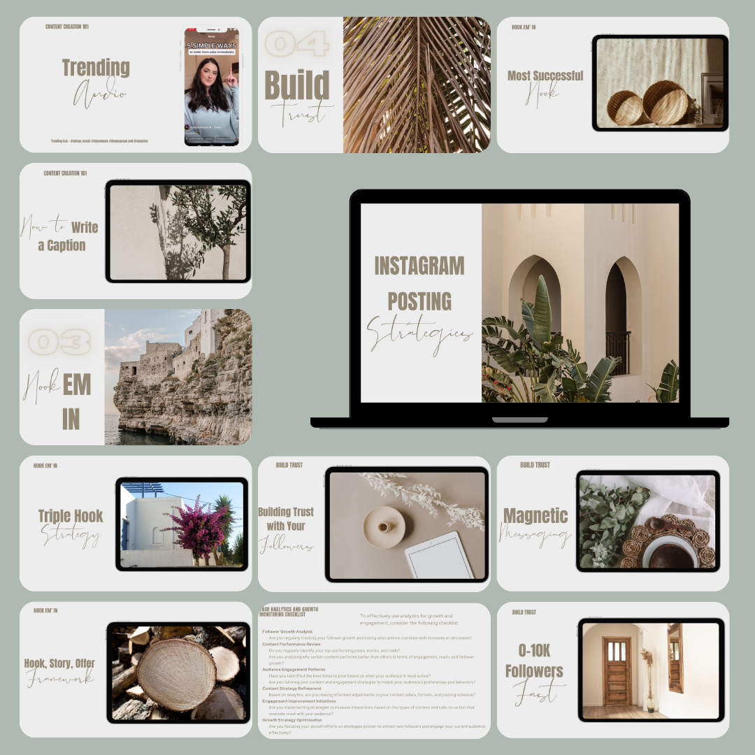 The Instagram Growth Blueprint - 3H Video Course WITH PLR (English)