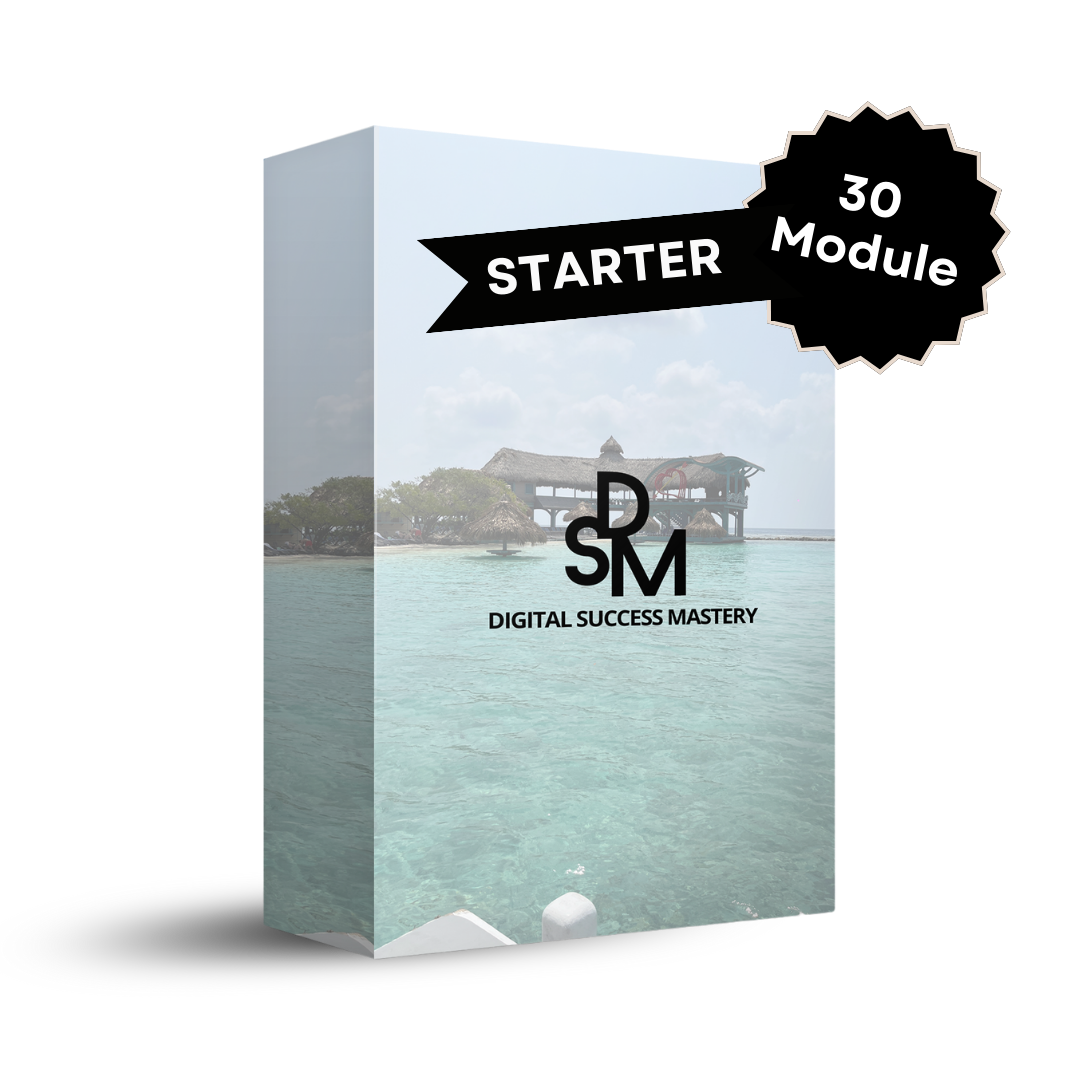 DSM Starter