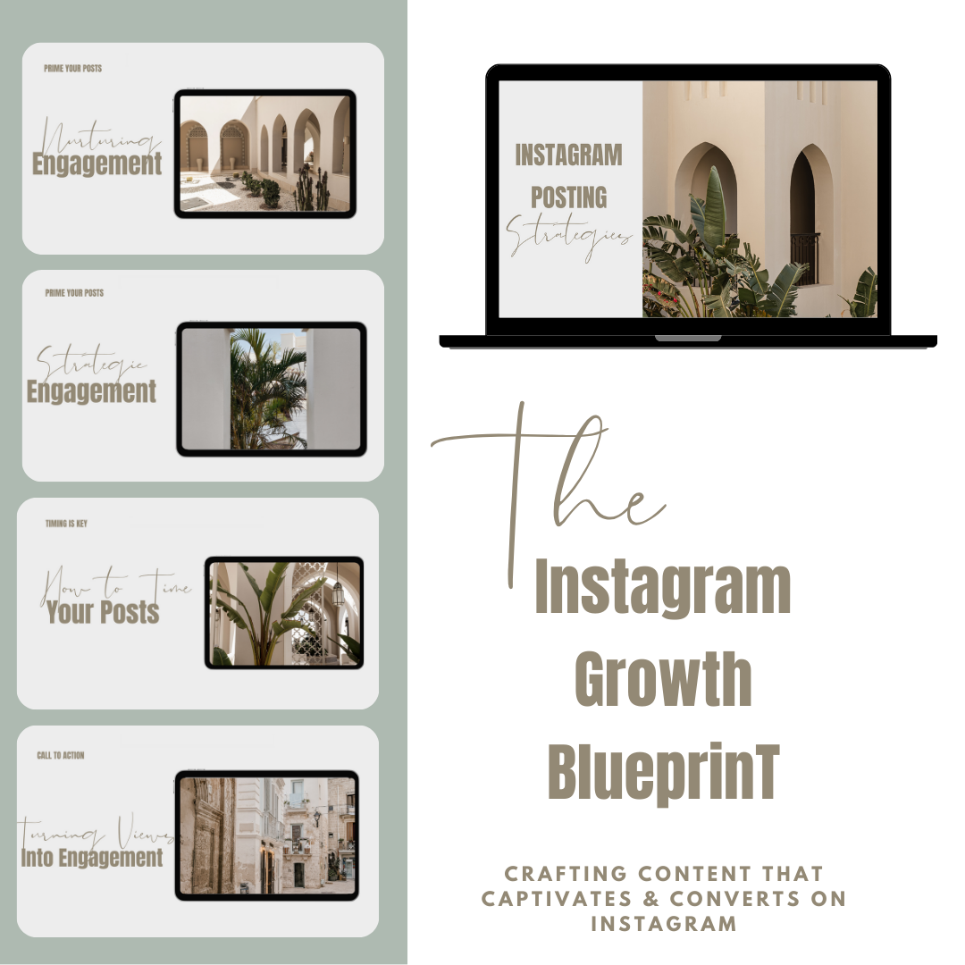 The Instagram Growth Blueprint - 3H Video Course WITH PLR (English)