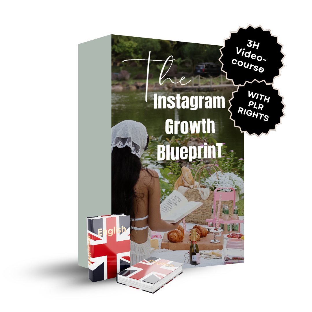 The Instagram Growth Blueprint - 3H Video Course WITH PLR (English)