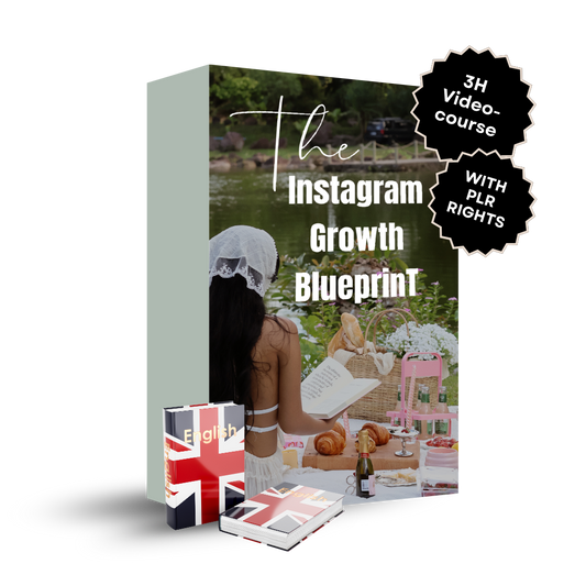 The Instagram Growth Blueprint - 3H Video Course WITH PLR (English)