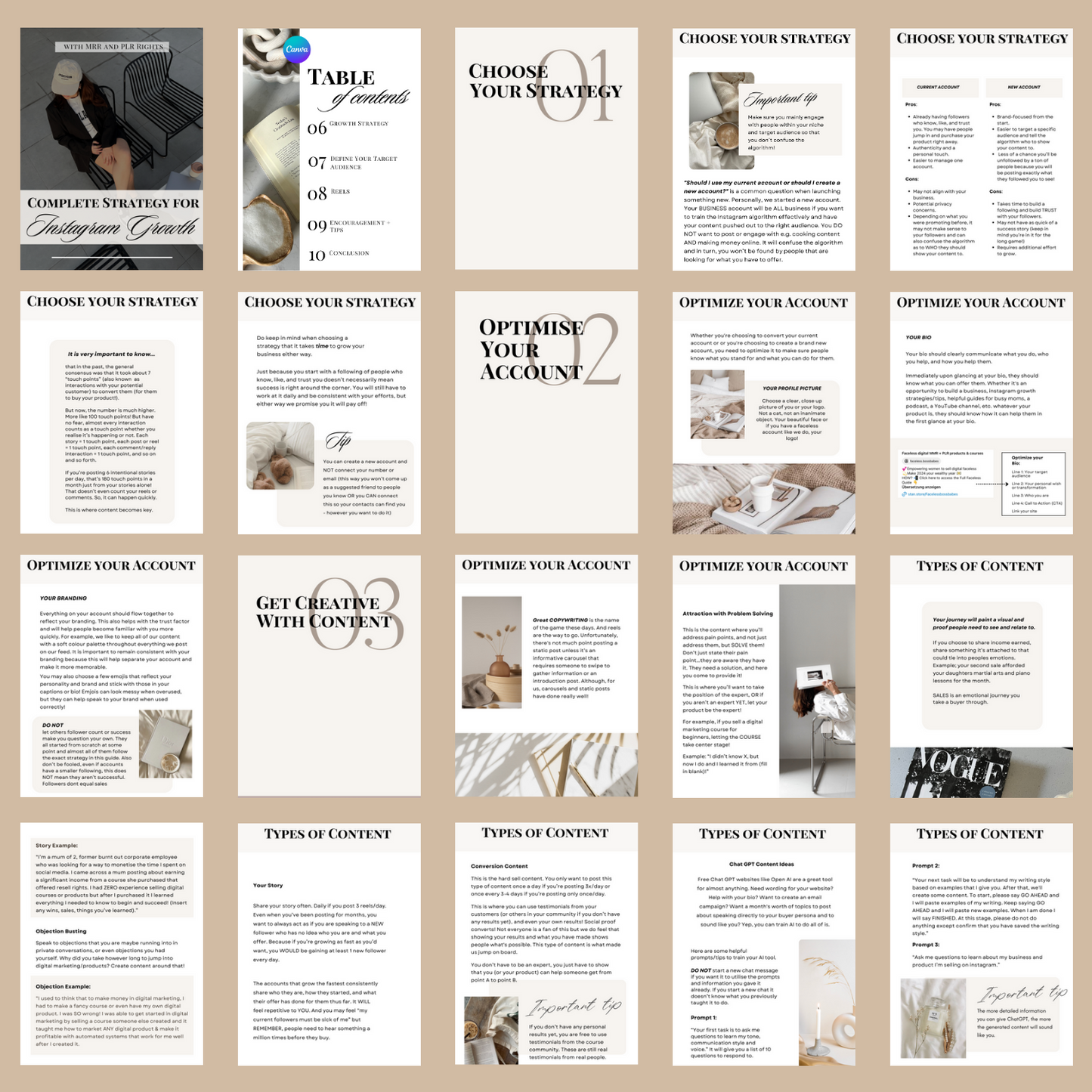 Complete Strategy for Instagram Growth | MRR + PLR rights
