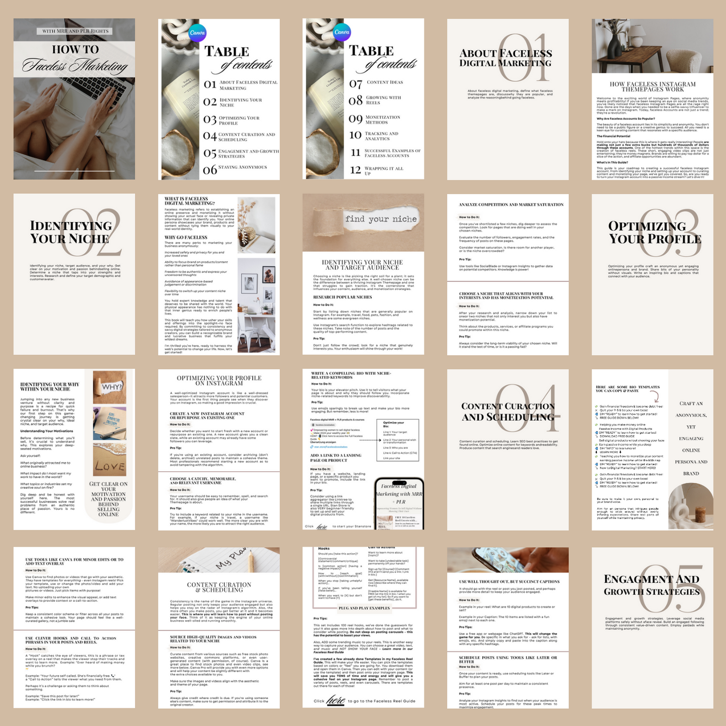 Complete Strategy for Instagram Growth | MRR + PLR rights