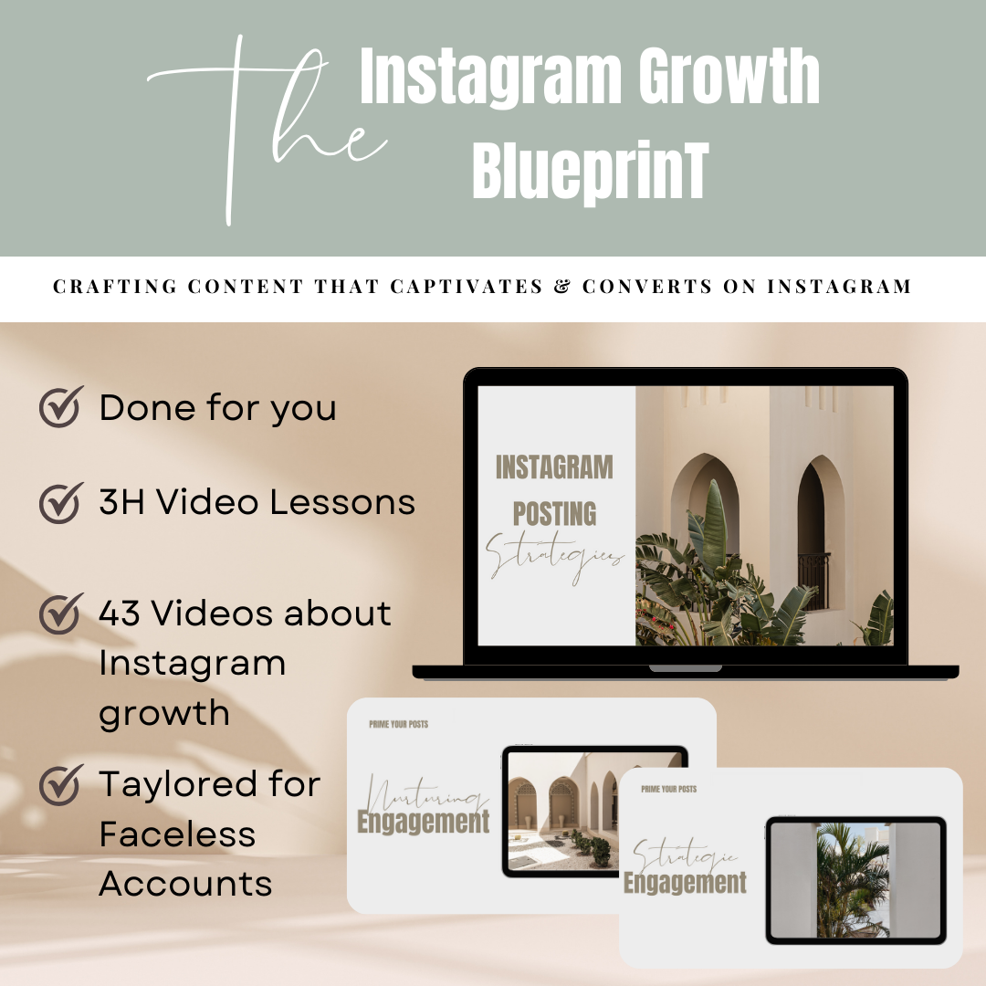 The Instagram Growth Blueprint - 3H Video Course WITH PLR