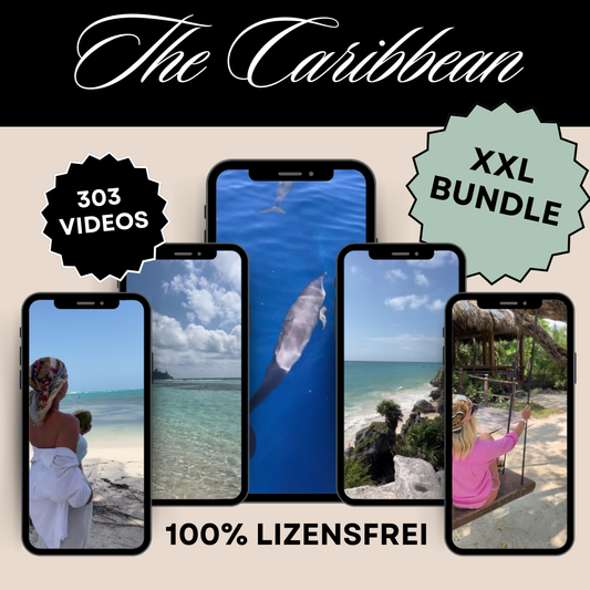 The Caribbean Bundle - 303 Videos pure Inselmagie 🌴🌊